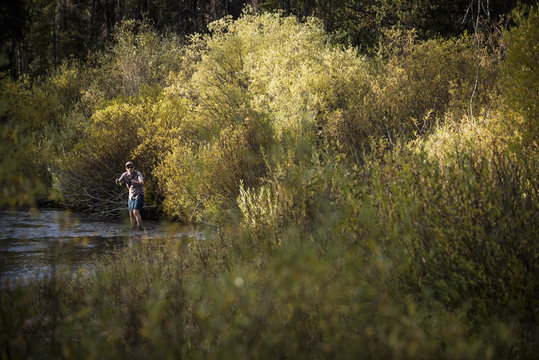 Man in river fly fishing, near Lolo Pass, Bitterroot Mountains, Missoula, Montana, USA