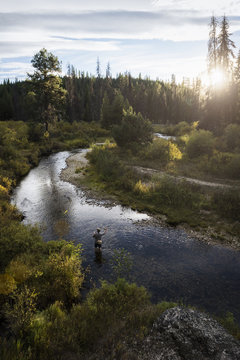 Man in river fly fishing, near Lolo Pass, Bitterroot Mountains, Missoula, Montana, USA