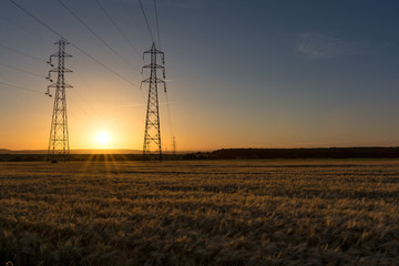 French countryside - Lorraine. High voltage line surrounded by wheat fields at sunset