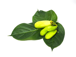 Fresh bilimbing on green leaf  ,diet concept