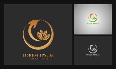 Fototapeta premium leaf arrow herbal logo