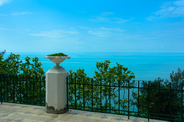 Сосны и море © shubinan