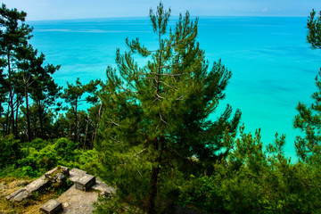 Сосны и море © shubinan