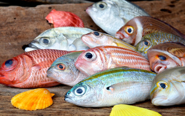 mix colorful fresh fishes.