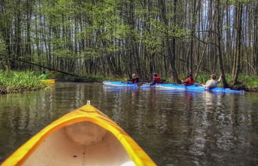 Fototapeta premium Tourists kayaking on river