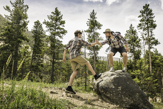 Father in forest, holding son hands, helping up onto rock, Red Lodge, Montana, USA