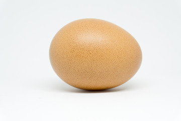 egg on white background