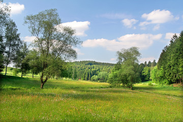 sommer im land