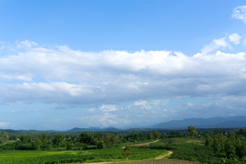 Obraz premium Green mountains with blue sky