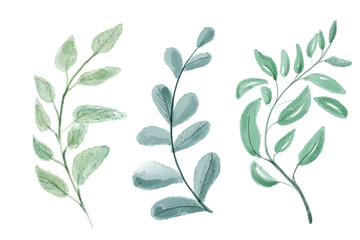 Set of watercolor leaves. Digital painting.