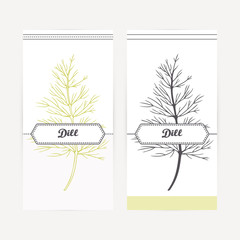 Hand drawn dill in outline and silhouette style. Spicy herbs