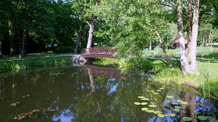 Drewniana kładka przez rzeczny odpływ ze stawu w pięknym zielonym parku