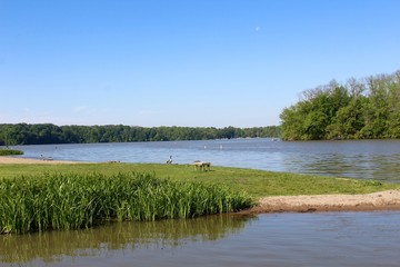 The lake on a sunny spring day.