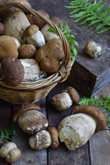 Composition of porcini in the basket on wooden background. White edible wild mushrooms. Copy space for your text