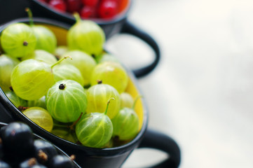 Juicy berries of a gooseberry, black and red currant in cups, close up. Summer harvest of berries