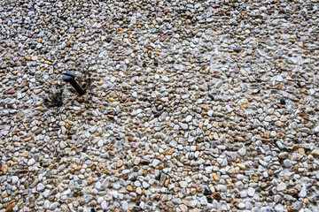 A nail on the wall with many small stones textured background