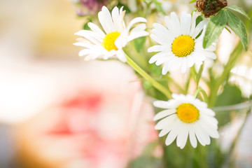 Margueriten auf dem Tisch
