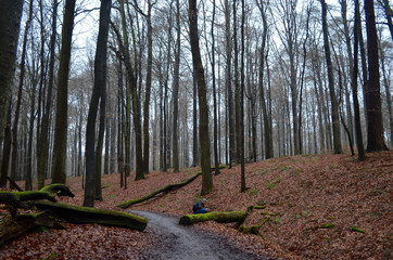 Small path in autumn forest