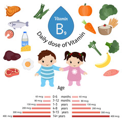 Vitamin B9 or folic acid infographic