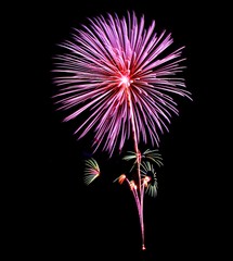 Colorful fireworks light up in black sky,