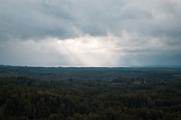 aerial view over the green forest in evening. Cloudy mystery. Landscapes of Latvia