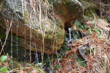 Fototapeta premium small stream in forest on rock