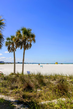 Palm tress and white sands of Siesta Beach in Florida