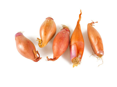 Shallot Onions Isolated On White Background