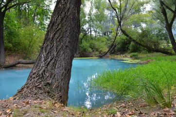 Beautiful blue lake in the green trees