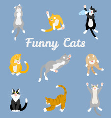 Different cartoon cats set.