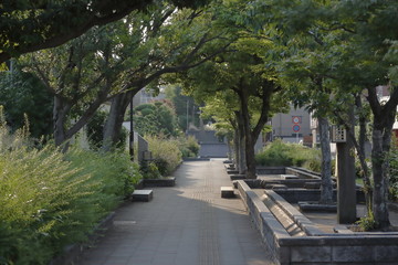 Fototapeta na wymiar 新川緑地