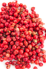 Red Pepper on white background