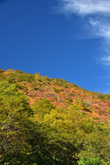 Fototapeta na wymiar Mountain in Autumn