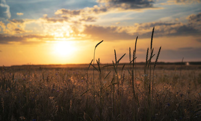 Fototapeta premium piękny zachód słońca nad polami w Austrii