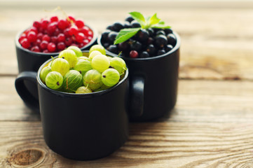 Juicy berries of a gooseberry, black and red currant in cups, close up. Summer harvest of berries