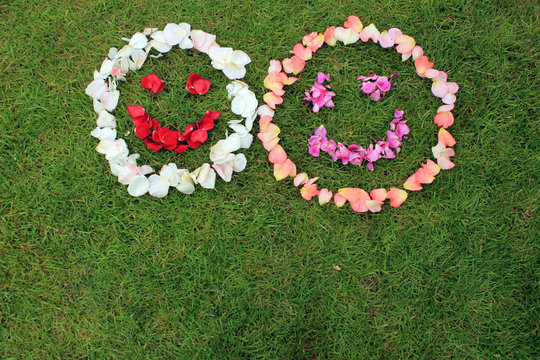 Smiley face emoticon from petals of rose on background of grass. Copy space is left and bottom.