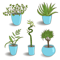 Set of house plant isolated. Vector colorful sketch house plant pot illustration