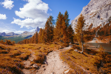 Fototapeta na wymiar Alpine mountain autumn landscape