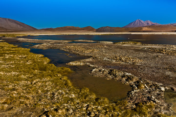Atacama Desert, Chile