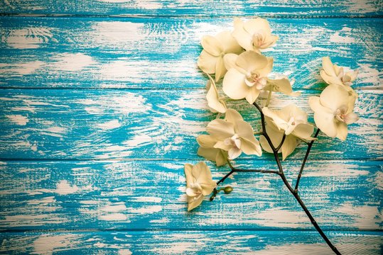 A branch of yellow orchids lies on a blue wooden background 