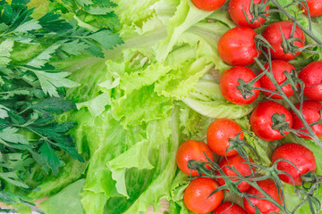 Cherry tomatoes covered with water drops lie on the basis of green lettuce leaves