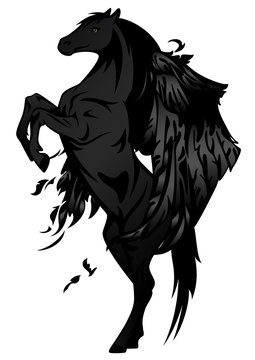 pegasus design - black winged horse vector illustration