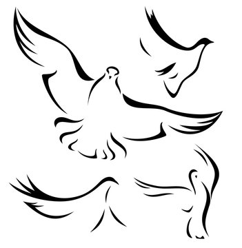 set of flying doves - black vector outlines over white