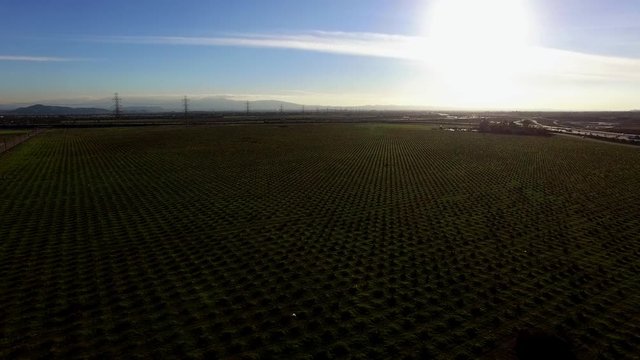 Impressive panoramic overhead videoshots of green plain