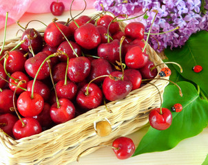 Summer composition composed of cherries in a basket and a blooming branch of lilac