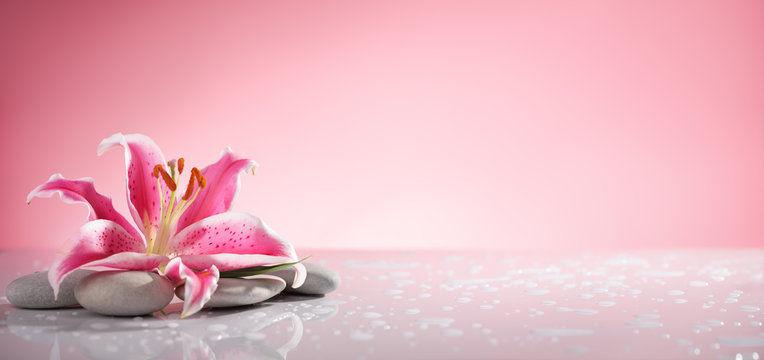 Spa Background Lotus Images – Browse 40,073 Stock Photos, Vectors, and  Video | Adobe Stock