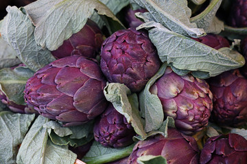 Purple fresh globe artichokes on market display
