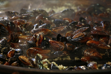Cooking steamed roasted mussels close up