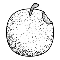 Isolated Vintage apple