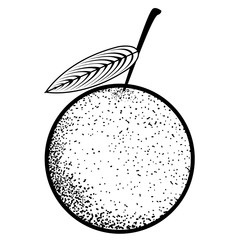 Isolated vintage orange